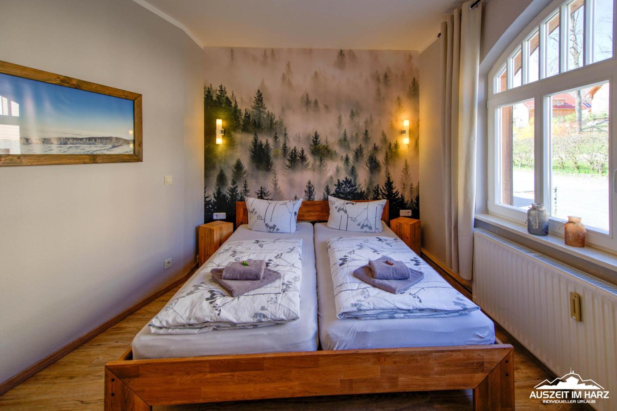 Auszeit Im Harz Haus 1 Wohnung Feuerstein Ширке Экстерьер фото